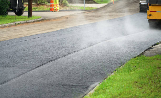 Best Driveway Paving Contractor  in Roscoe, TX